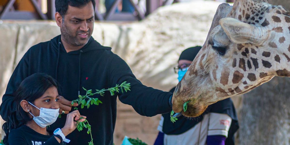 festa infantil tema safari