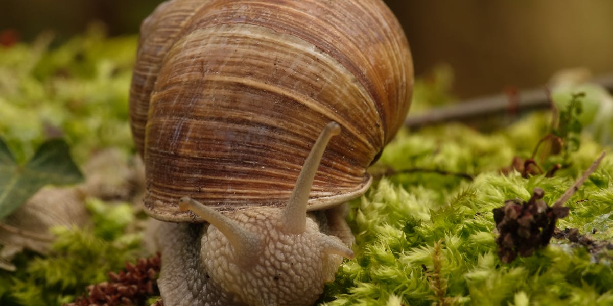 oficina de slime festa infantil