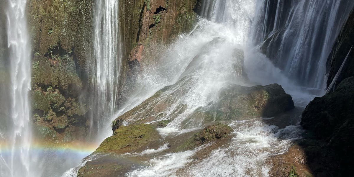 festa tema arco-íris